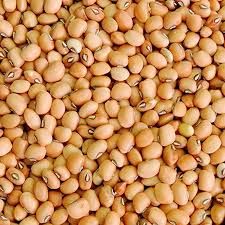 Feijão Fradinho / é o de Corda  500 g