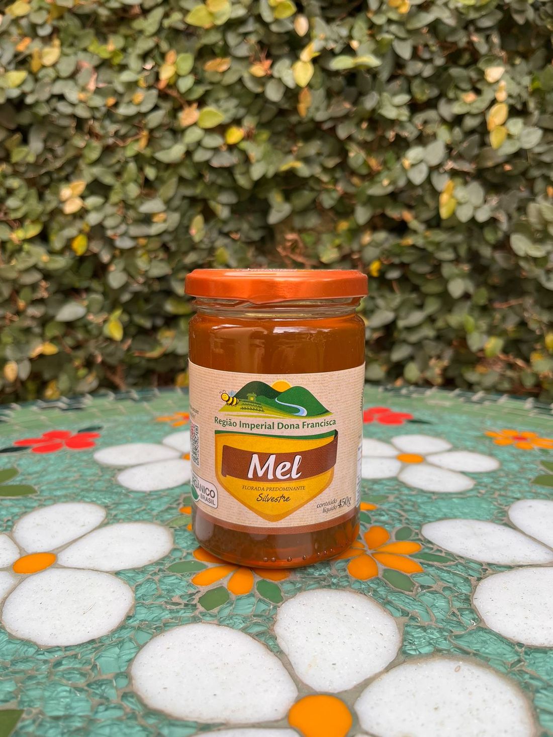 Mel Orgânico Pote Vidro (450 gr.) Mel Imperial Dona Francisca