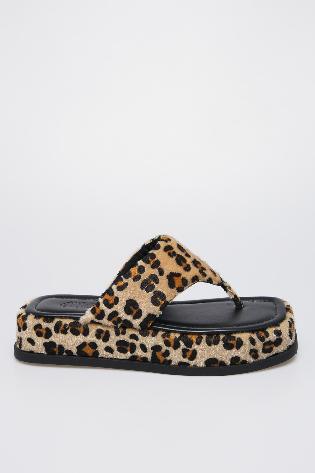 Flat Lívia Onça Flat Lívia Onça