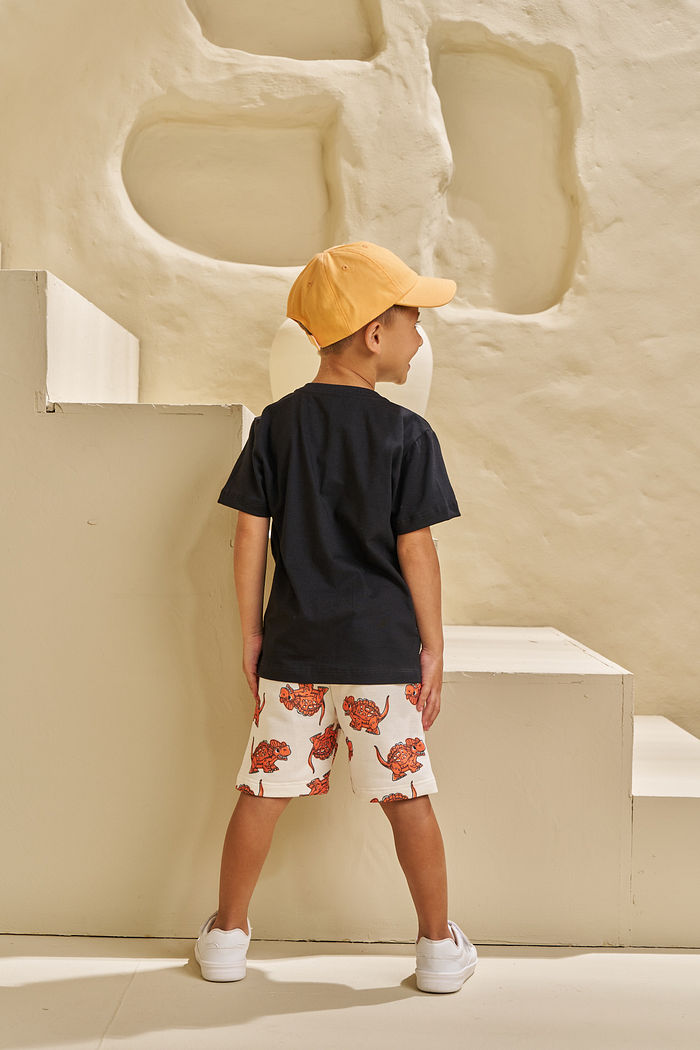 CONJUNTO T-SHIRT EM MEIA MALHA E SHORT EM MOLETINHO HAPPY DINO