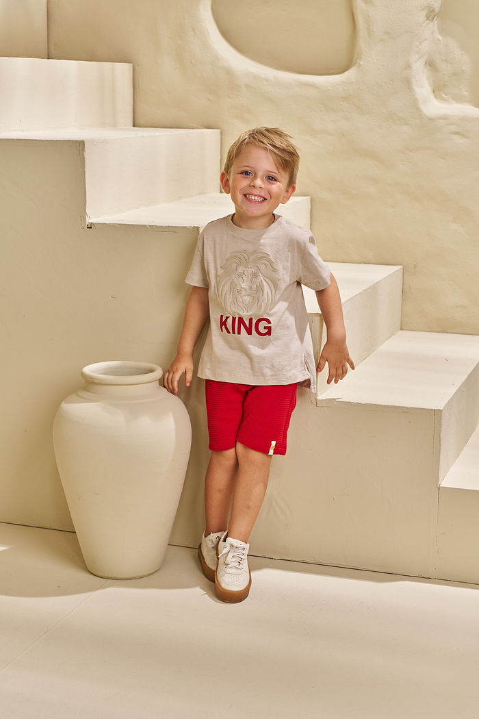 CONJUNTO T-SHIRT EM FLAMÊ E SHORT EM MALHA WAFFLE