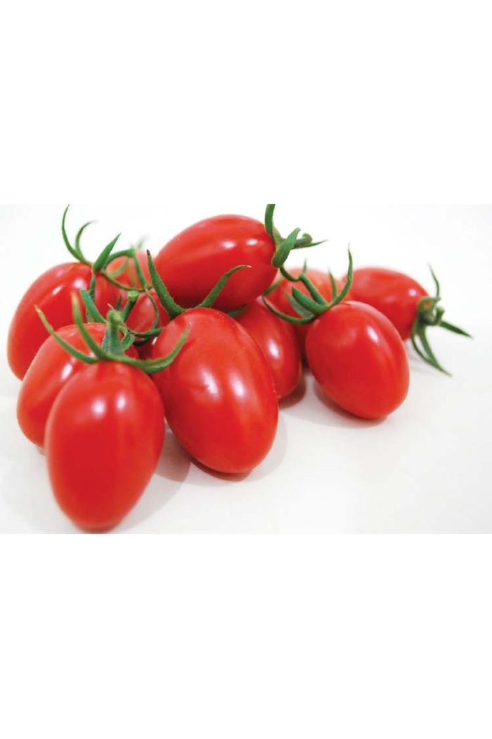 Tomate Pera Orgânico 180g