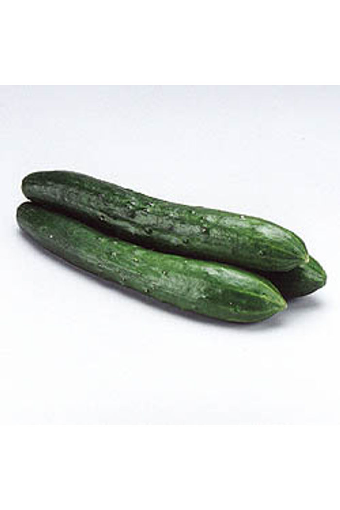 Pepino Jap 350 g Orgânico