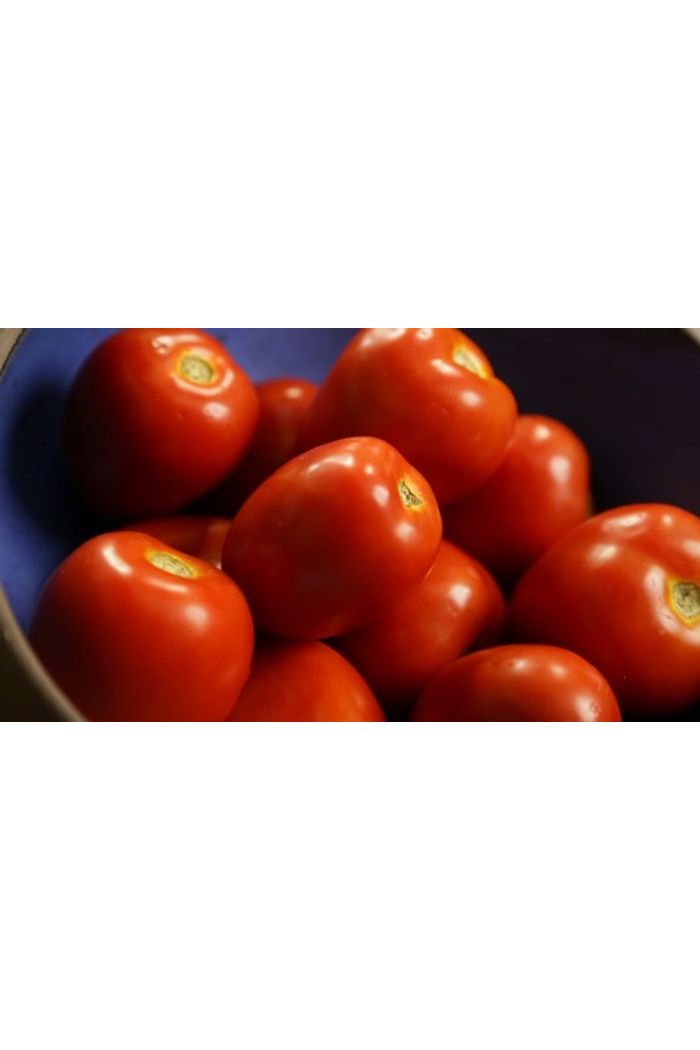 Tomate pacote 1 kg Orgânico