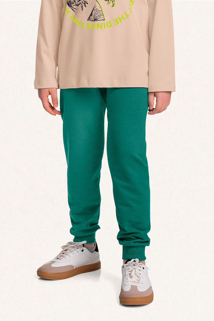 Conjunto camiseta manga longa em meia malha e calça em moletinho dino