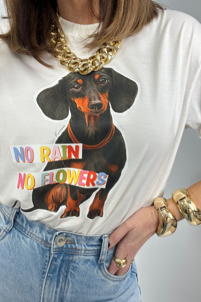 T-Shirt Feminina - Dachshund
