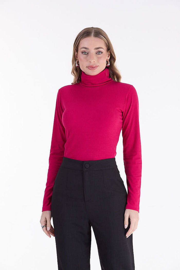 BLUSA GOLA  ALTA RIBANA 6X3