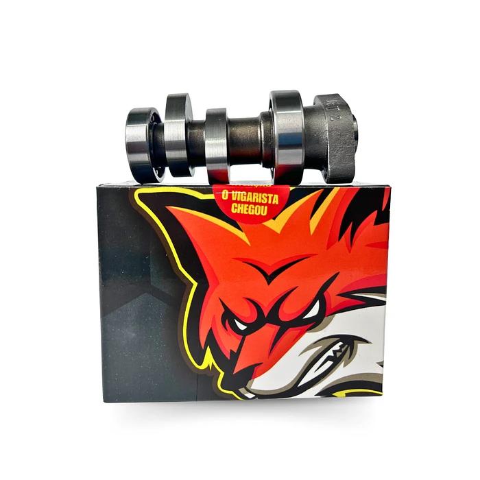 COMANDO PREPARADO CG 150 E CG 125 2009 VIGARISTA N2