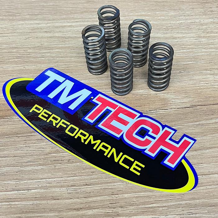 Kit Molas de Embreagem CRF 250F e 300F