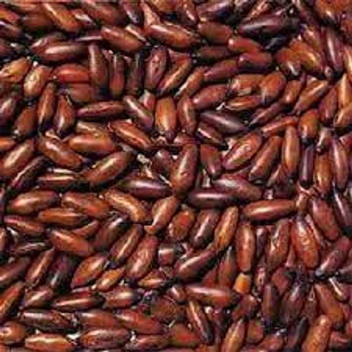 Castanha de Baru sem sal 100 g - Chácara CH