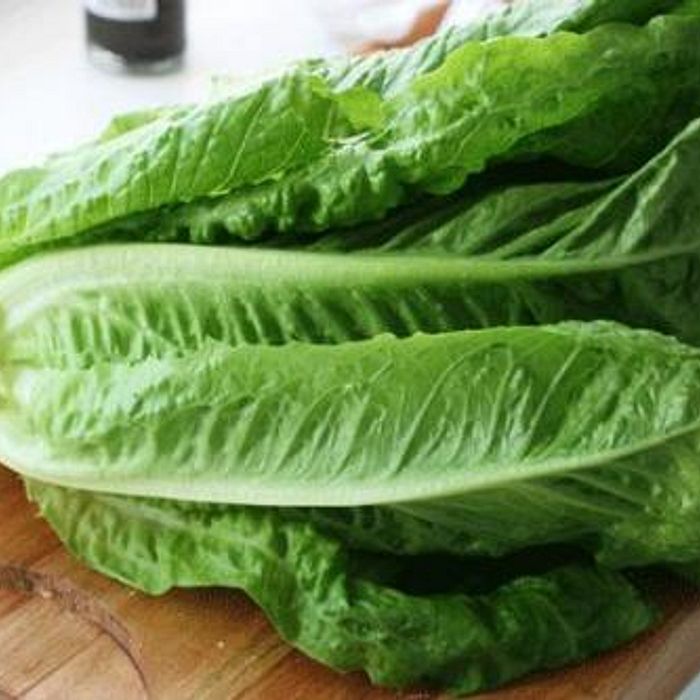 Alface Romana - Fuentes