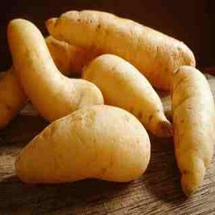 Mandioquinha  ±1 kg