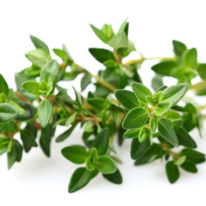 Tomilho Orgânico (5gr.)