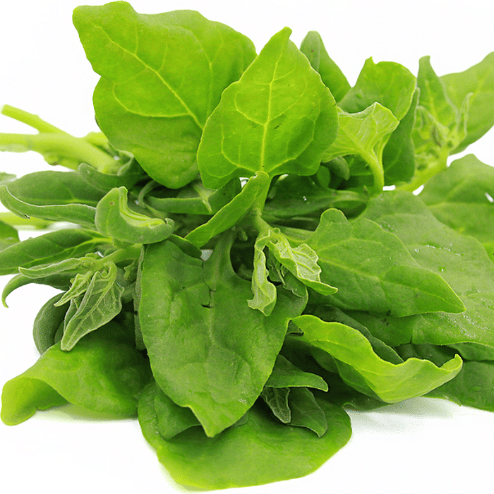 Espinafre Comum Orgânico