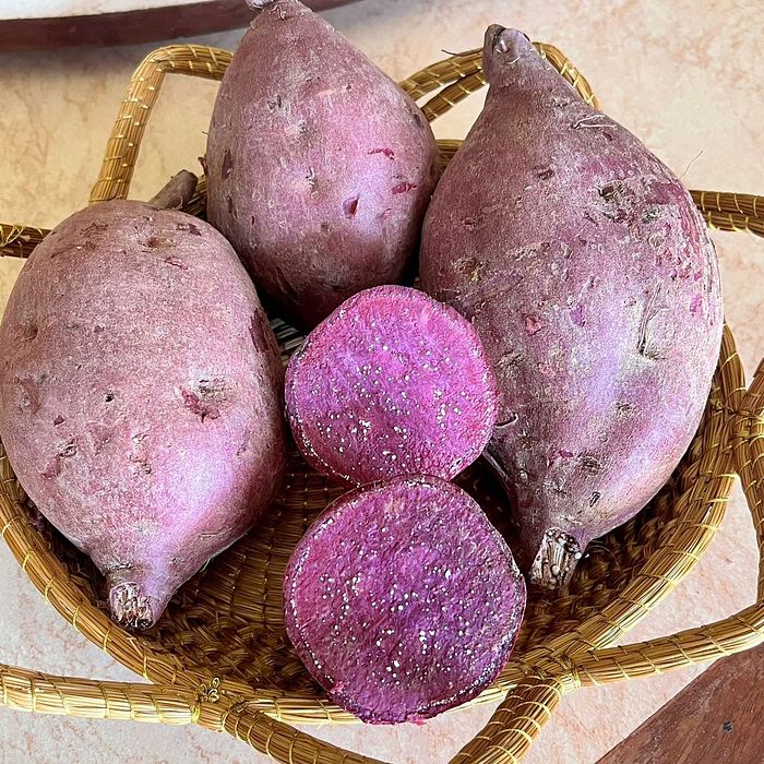 Batata Doce Roxa Sítio Samburá