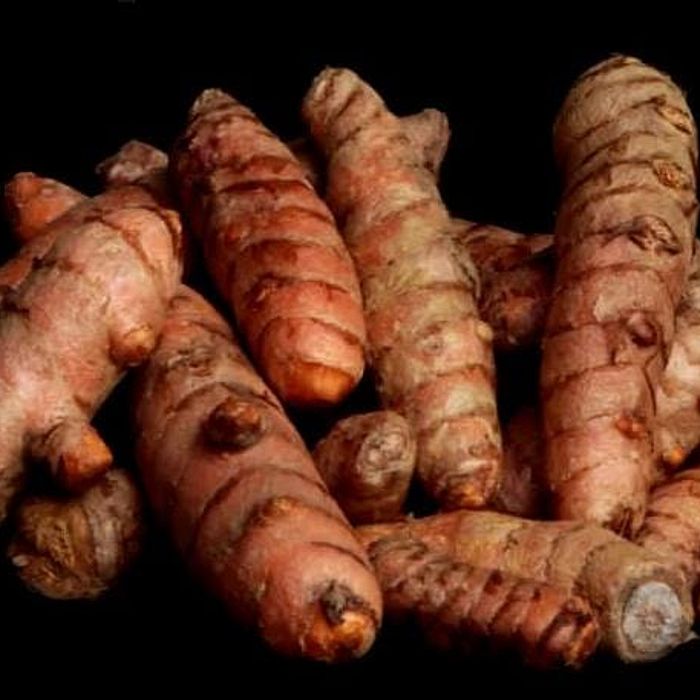 Cúrcuma ou Açafrão da Terra RB