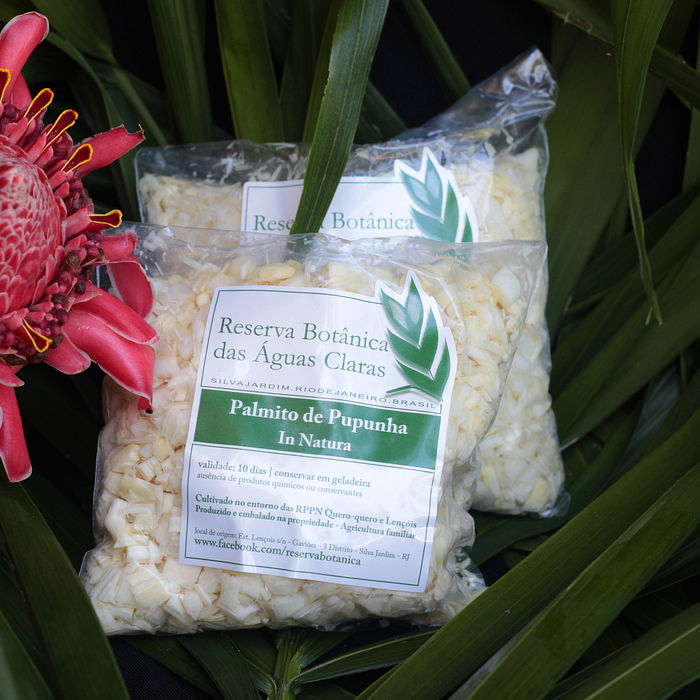 Palmito de Pupunha Picado in Natura