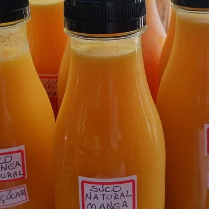 Suco Natural (500 ml)