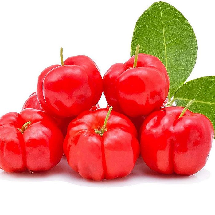 Polpa Acerola (pct 06un X100g)
