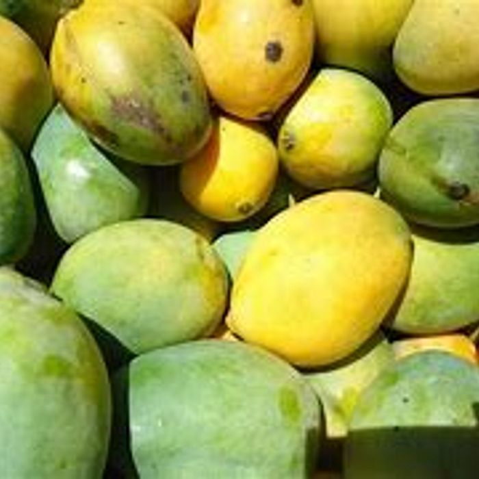 Polpa Manga Espada (pct 06unx100g)