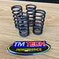 Kit de molas de válvulas de competição (Crf 250f e Mxf 270)