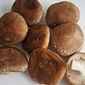 Cogumelo Shitake bdj. 200 g