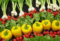 AS CORES DOS ALIMENTOS