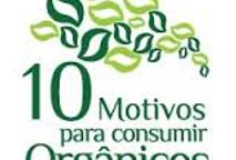 10 motivos para consumir orgânicos