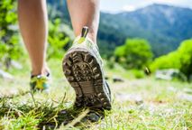 SEGREDOS DA CAMINHADA