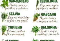 DICAS PARA TEMPEROS E ERVAS
