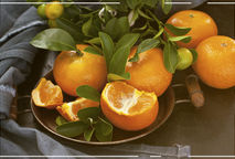 MEXERICA OU TANGERINA?