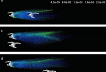 Correr Caminhar Covid