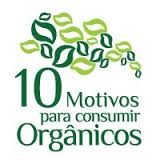 Banner 10 motivos para consumir orgânicos