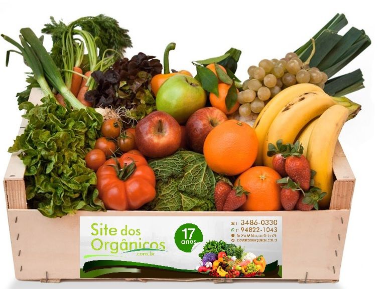 Banner CESTAS SUGERIDAS