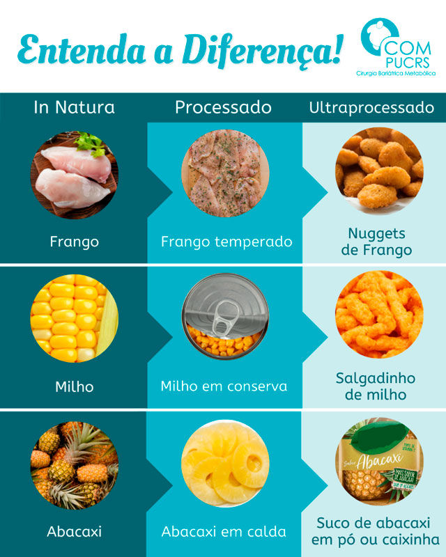 Banner ALIMENTOS IN NATURA, MINIMAMENTE PROCESSADOS, PROCESSADOS e ULTRA PROCESSADOS
